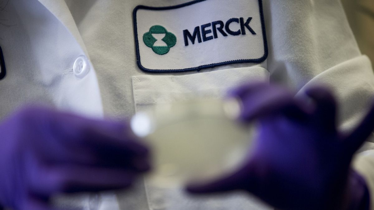 FILE - A Merck scientist conducts research