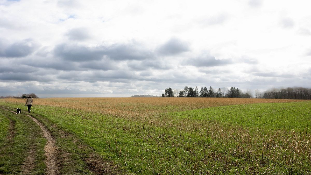 A field near Lasne, 20 kilometres south of Brussels, Belgium