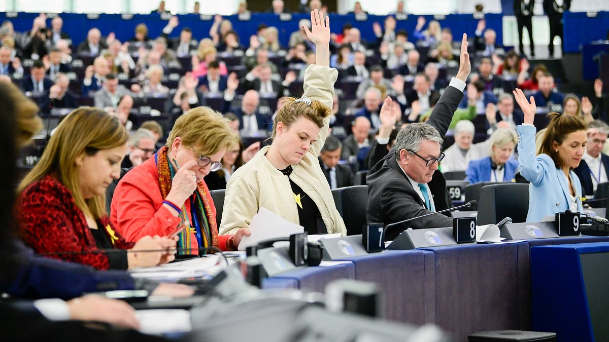 German MEP and Greens/EFA grou co-chair Terry Reintke (centre) during a European Parliament plenary vote on 1 April 2025