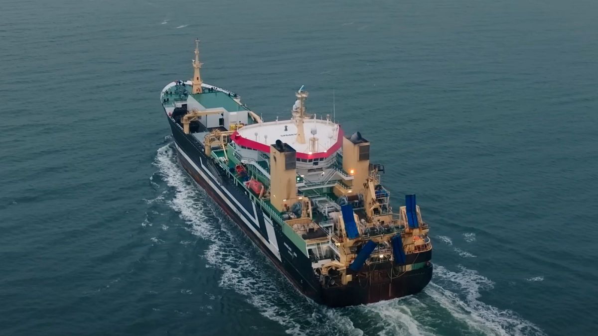 Die Untersuchung zeigt, dass 5 niederländische Unternehmen, die die europäische Fischereiindustrie dominieren