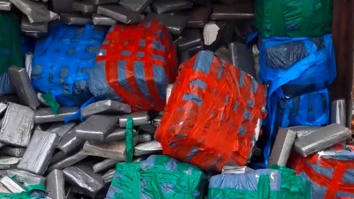 Belgien, um die Kontrollpersonen über private Flugzeuge im antismugglierenden Vorgehen zu ziehen