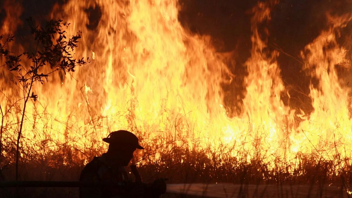 Die indonesische Polizei verhaftete 44, dass der Verdacht auf Waldbrände giftiger Dunst ausbreitete