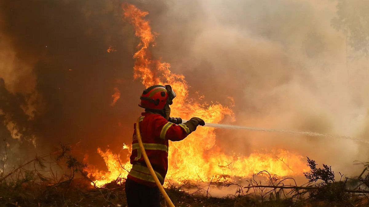 Der 14-jährige Junge gesteht gesteht, in Portugal absichtlich mehrere Brände zu starten, sagt die Polizei, sagt die Polizei