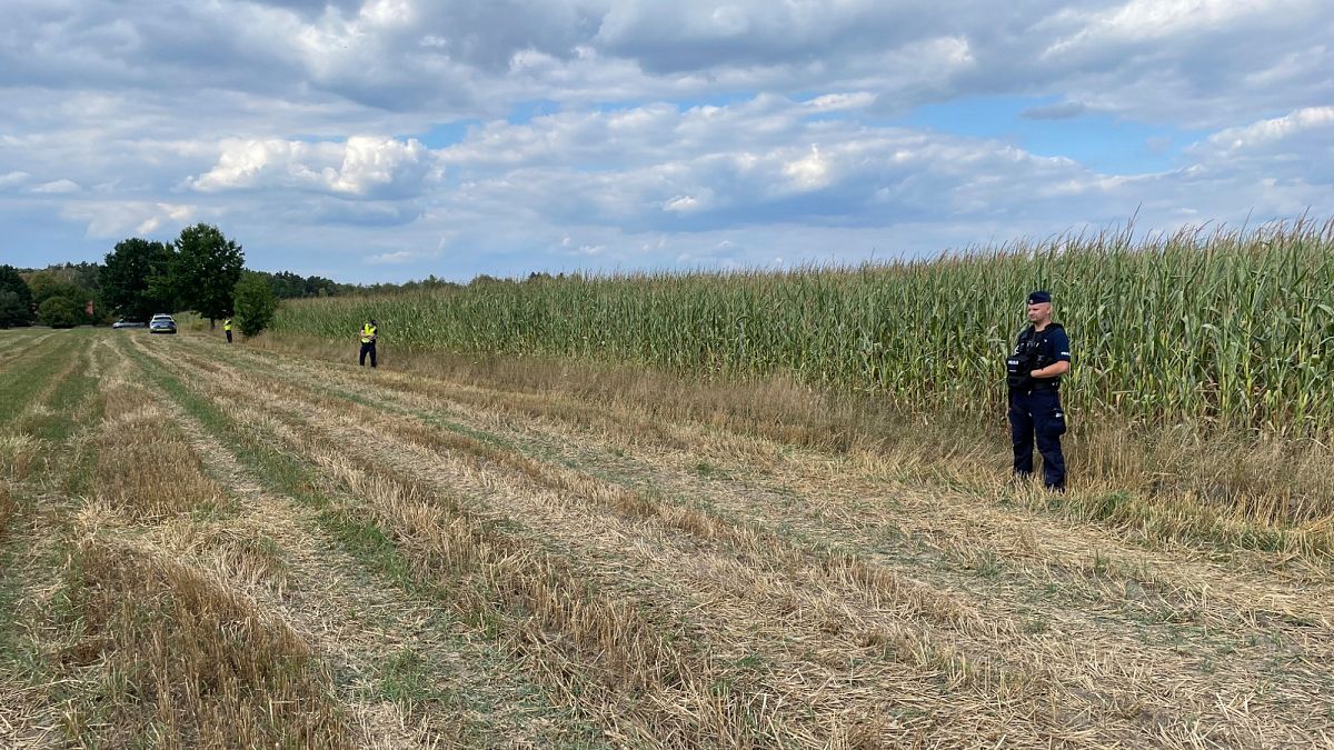 Experte: Drohnenvorfälle werden in Polen fortgesetzt, solange es einen Krieg über unsere Grenze gibt