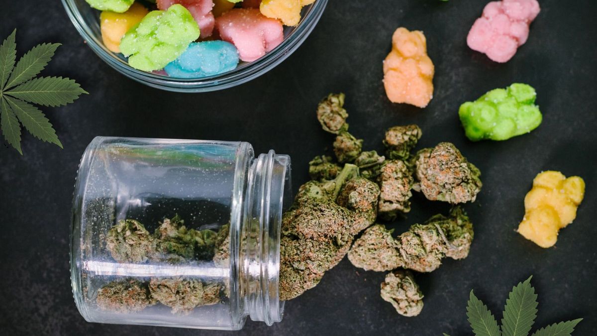 Hoch wirksame Cannabisprodukte, die mit dem Risiko von Psychose, Schizophrenie und Sucht gebunden sind, Studienfunde