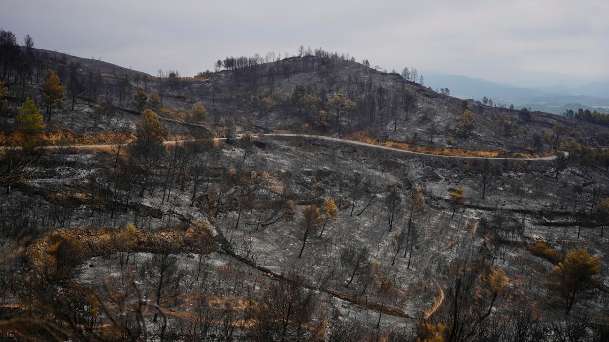 Waldbrände Wut in Südeuropa inmitten von Rekordtemperaturen