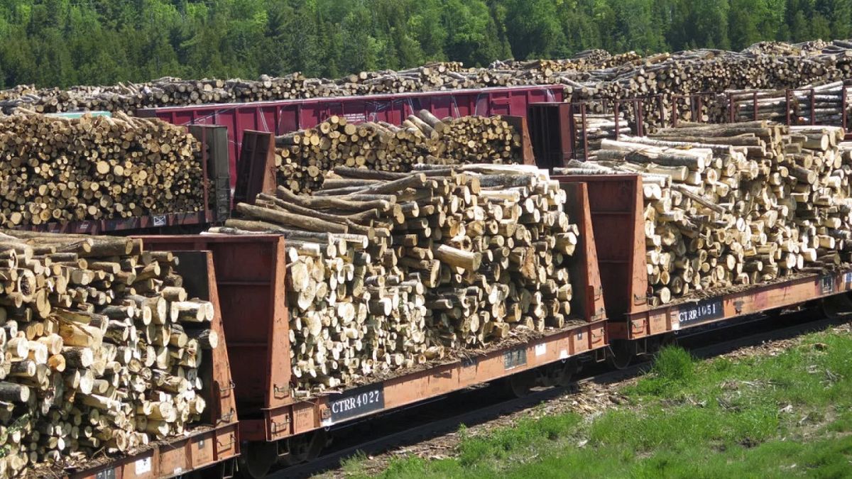 Wie man Holz wieder großartig macht: Trump tat auf Möbel, Holz und Holz Tarif Tarif