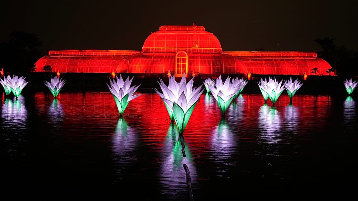 Eine Million LEDs: Kew Gardens enthüllt neuen Weihnachtslichtpfad