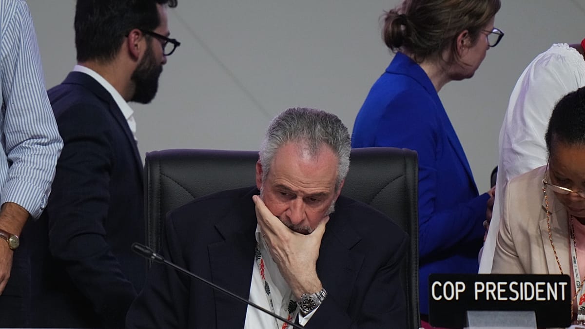 Von der Abholzung der Wälder bis hin zu fossilen Brennstoffen: Worüber haben sich die Länder auf der COP30 eigentlich geeinigt?