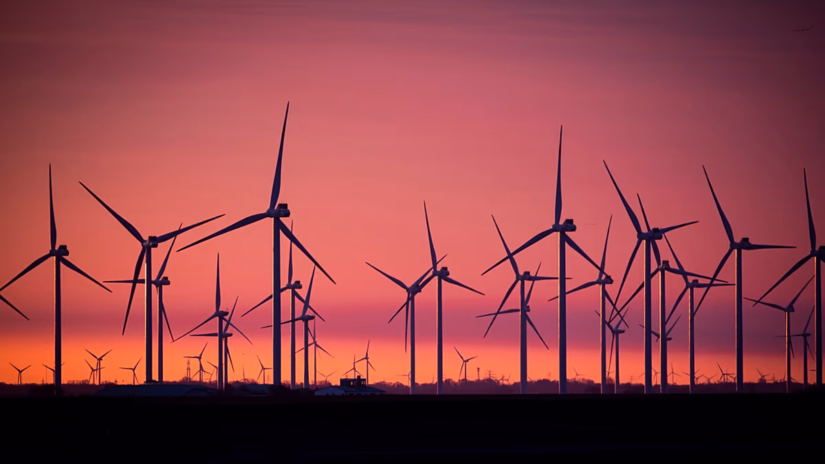 Europäisches Land verspricht, Hausbesitzern „kostenlosen Strom“ zu geben, anstatt Windkraftanlagen abzuschalten
