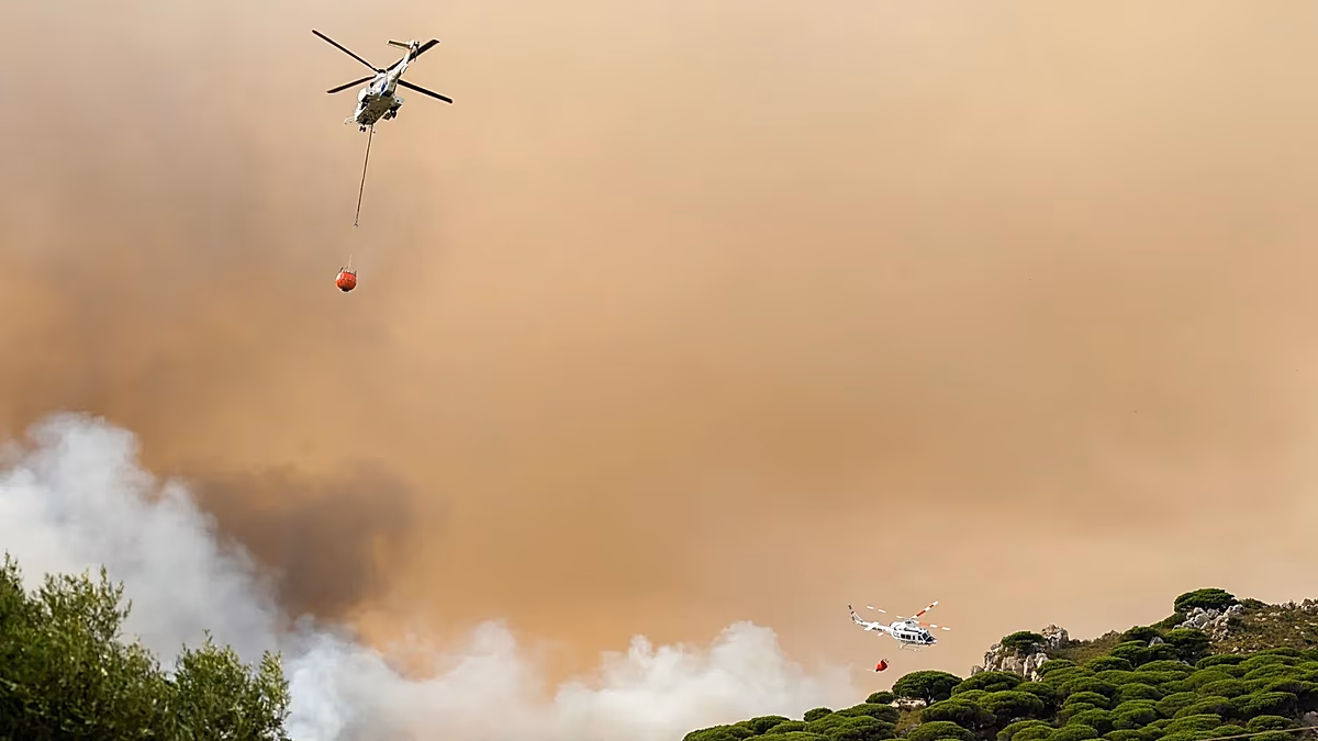 Klimaschutz ist die günstigste Versicherungspolice der Welt, heißt es in einer neuen Studie