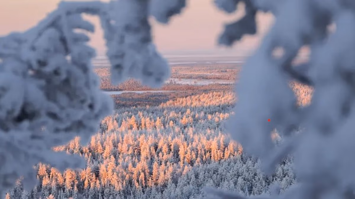 London, Berlin, Riga: AirBaltic erweitert den Winterflugplan mit neuen Direktflügen nach Finnisch-Lappland