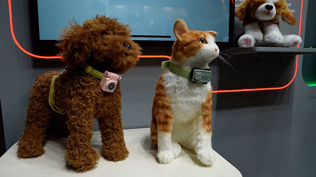 Smartphones für Haustiere? Mit diesem tragbaren Gerät können Ihre Haustiere Sie anrufen, wenn sie Aufmerksamkeit benötigen