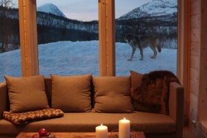 Das Hotel gegen einen Zoo eintauschen? Top-Reiseziele in Europa für eine wilde Nacht