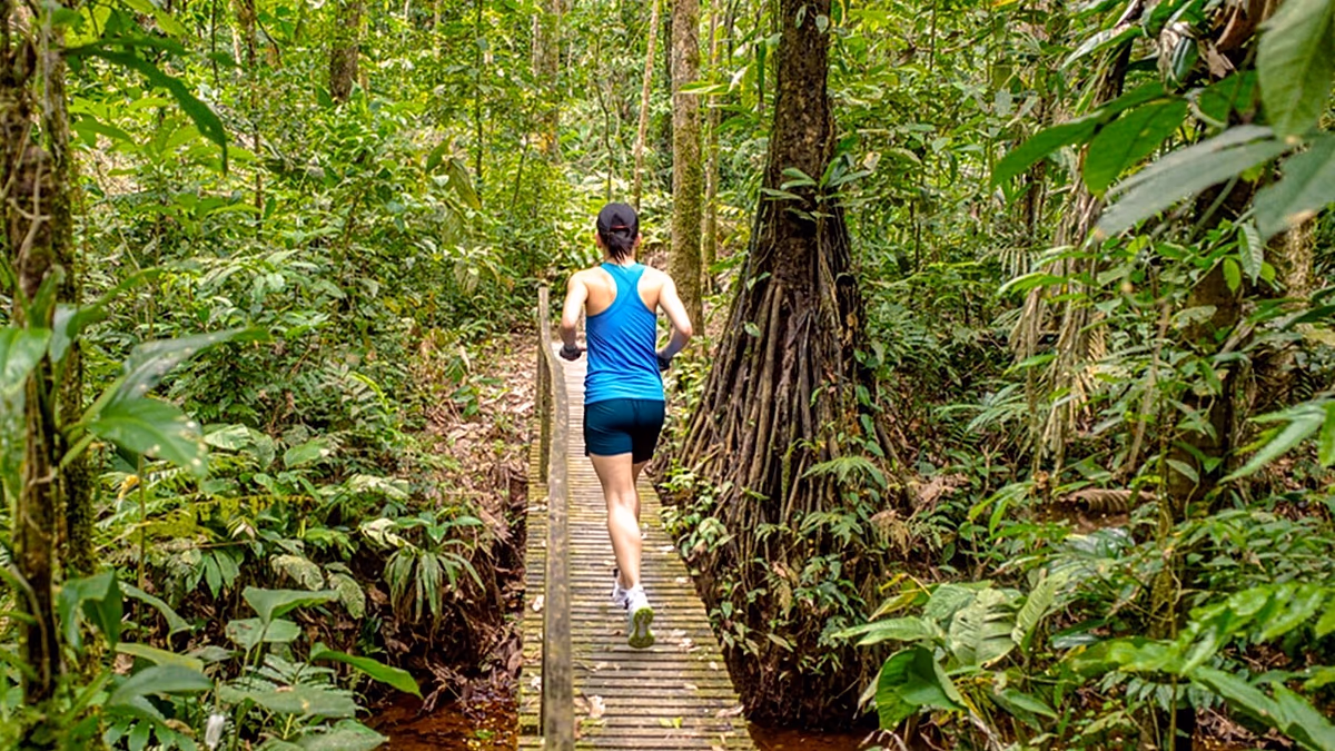 Vom Amazonas bis zur Antarktis: Dies sind die besten Marathons, die man einmal im Leben unternehmen kann