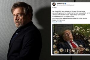 Das Weiße Haus kritisiert den „kranken“ Star-Wars-Schauspieler Mark Hamill wegen der KI-Position des toten Donald Trump