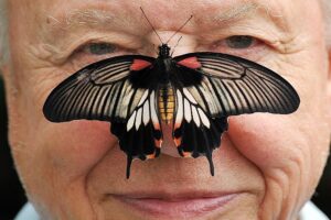 Ein Leben in Bildern: Sir David Attenborough feiert seinen 100. Geburtstag