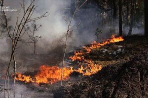 Laut Kiew brennt nach einem Drohnenabsturz ein großer Waldbrand in der Sperrzone von Tschernobyl