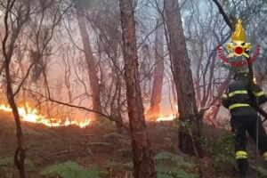 Toskana, Flammen am Monte Faeta außer Kontrolle: 800 Hektar verbrannt, 3.000 evakuiert
