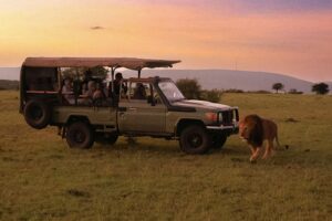 Afrikas angesagteste neue Safari-Lodges definieren Luxusreisen in der Wildnis neu