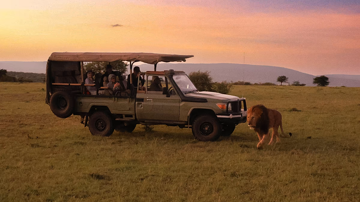 Afrikas angesagteste neue Safari-Lodges definieren Luxusreisen in der Wildnis neu