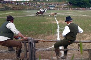 Cowboys aus der Maremma aus Latium: Tradition und Innovation im Riarto von Canale Monterano