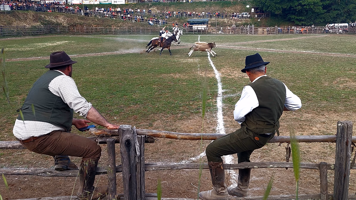 Cowboys aus der Maremma aus Latium: Tradition und Innovation im Riarto von Canale Monterano