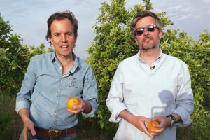 CrowdFarming: die Plattform, die Europa besser ernähren will