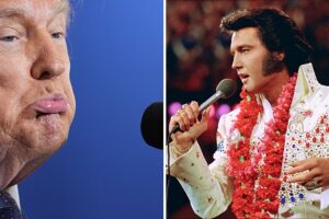 Donald Trump behauptet, er sei größer als Elvis, nachdem sich noch mehr Künstler aus Freedom 250-Konzerten zurückgezogen haben