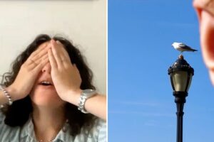 Icelandair hat die „schlechteste Fotografin der Welt“ gefunden – und zahlt ihr 50.000 Dollar