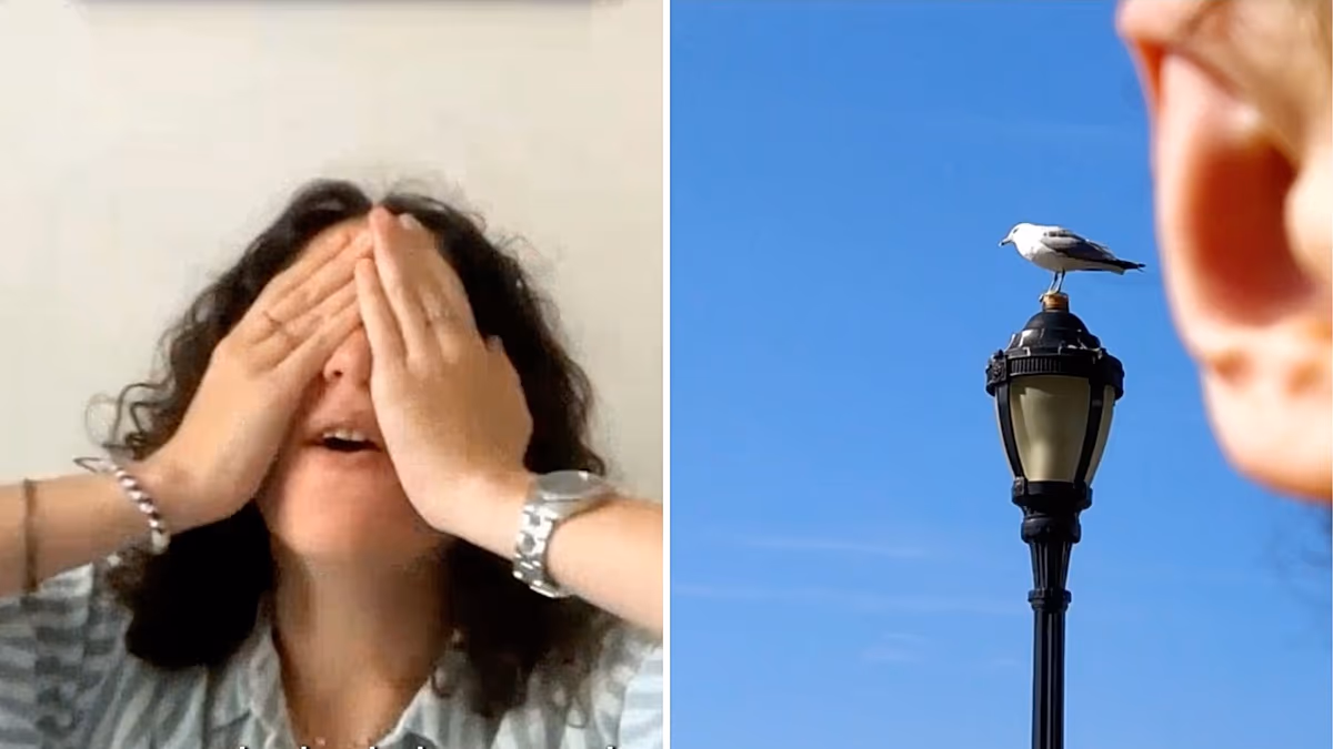 Icelandair hat die „schlechteste Fotografin der Welt“ gefunden – und zahlt ihr 50.000 Dollar