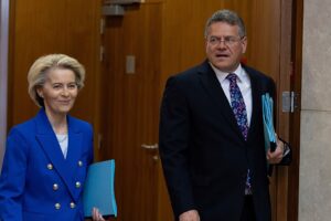 Kann die EU das Risiko gegenüber China verringern und ihre Handelsbeziehungen nachhaltig gestalten?