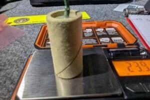 Mann wird beschuldigt, eine Bombe in seinem Handgepäck zu einem Flughafen in Kalifornien gebracht zu haben