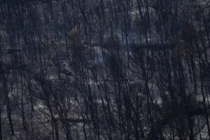 Ein rasanter Waldbrand breitet sich in Südfrankreich aus