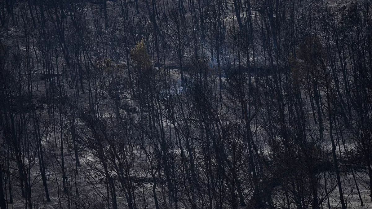 Ein rasanter Waldbrand breitet sich in Südfrankreich aus