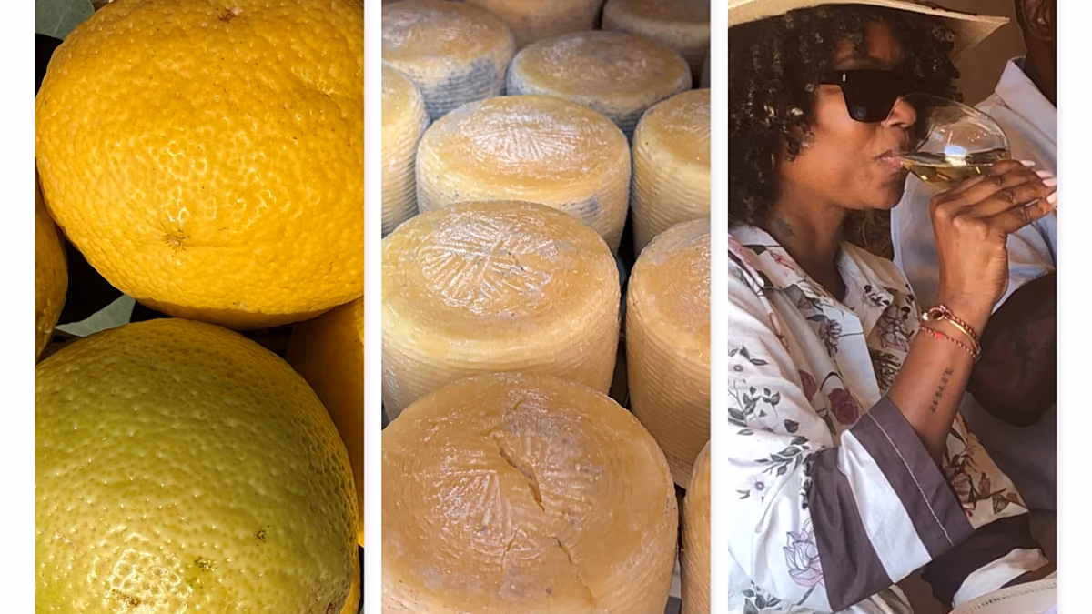 Mission nach Andros: Wein, Käse und Zitronen, die „goldenen“ Produkte, die die Zukunft der Insel prägen
