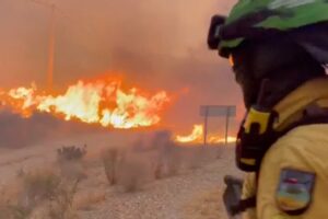 Überlebensratgeber: Wichtige Ratschläge, was zu tun ist, wenn Sie von einem Waldbrand erfasst werden
