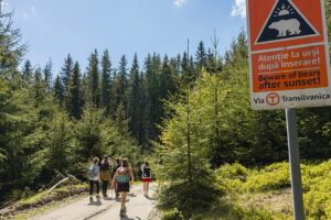 Vergessen Sie den Jakobsweg. Rumäniens Wanderweg Via Transilvanica ist wild, einladend und ruhig