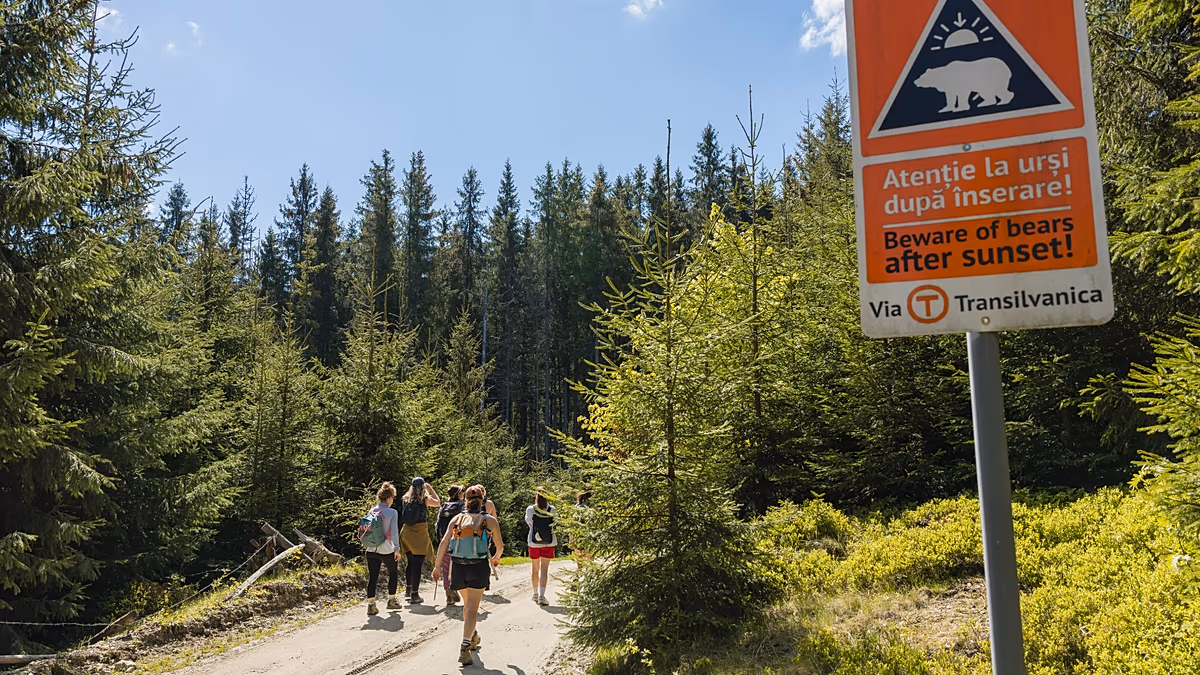 Vergessen Sie den Jakobsweg. Rumäniens Wanderweg Via Transilvanica ist wild, einladend und ruhig