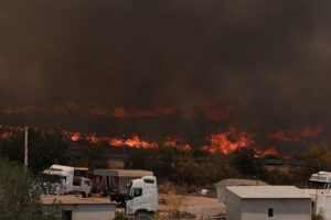 Waldbrände in Spanien: Der Brand in Saragossa zerstört über 15.400 Hektar
