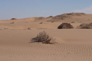 Die Geheimnisse der Wüste: Erkundung der alten Landschaften und lebendigen Traditionen Usbekistans
