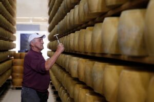 Extreme Hitze belastet Italiens „Käsebanken“, wo Parmigiano Agrarkredite unterstützt