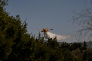In der Türkei brennen noch immer fünf Waldbrände, da die Gefahr auch in der nächsten Woche anhält
