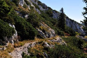 Kurvenreiche Wanderwege und Küstenwanderungen: Laut Lonely Planet drei der besten Herbstwanderungen Europas
