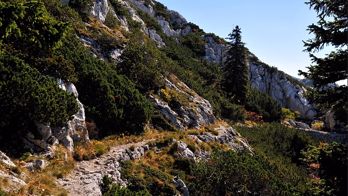 Kurvenreiche Wanderwege und Küstenwanderungen: Laut Lonely Planet drei der besten Herbstwanderungen Europas