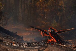 Tausende wurden evakuiert, als sich ein Waldbrand im Südwesten Frankreichs ausbreitete