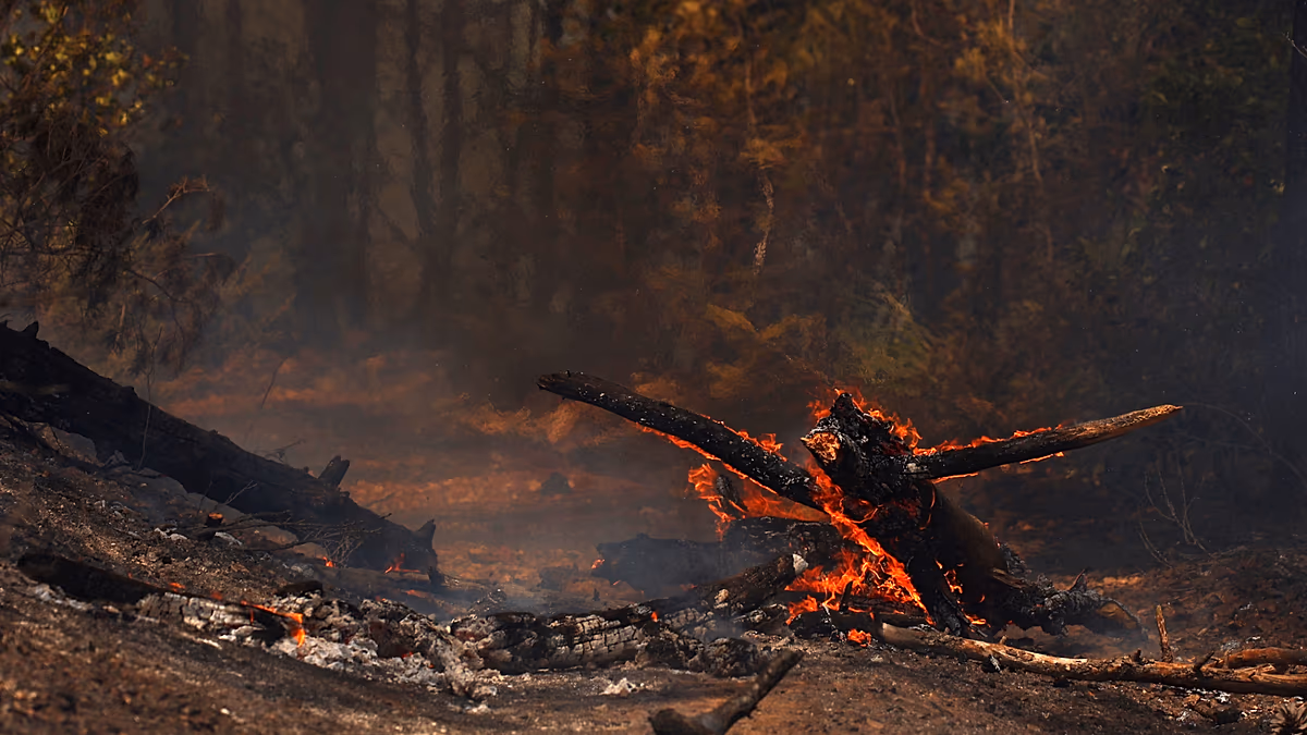 Tausende wurden evakuiert, als sich ein Waldbrand im Südwesten Frankreichs ausbreitete