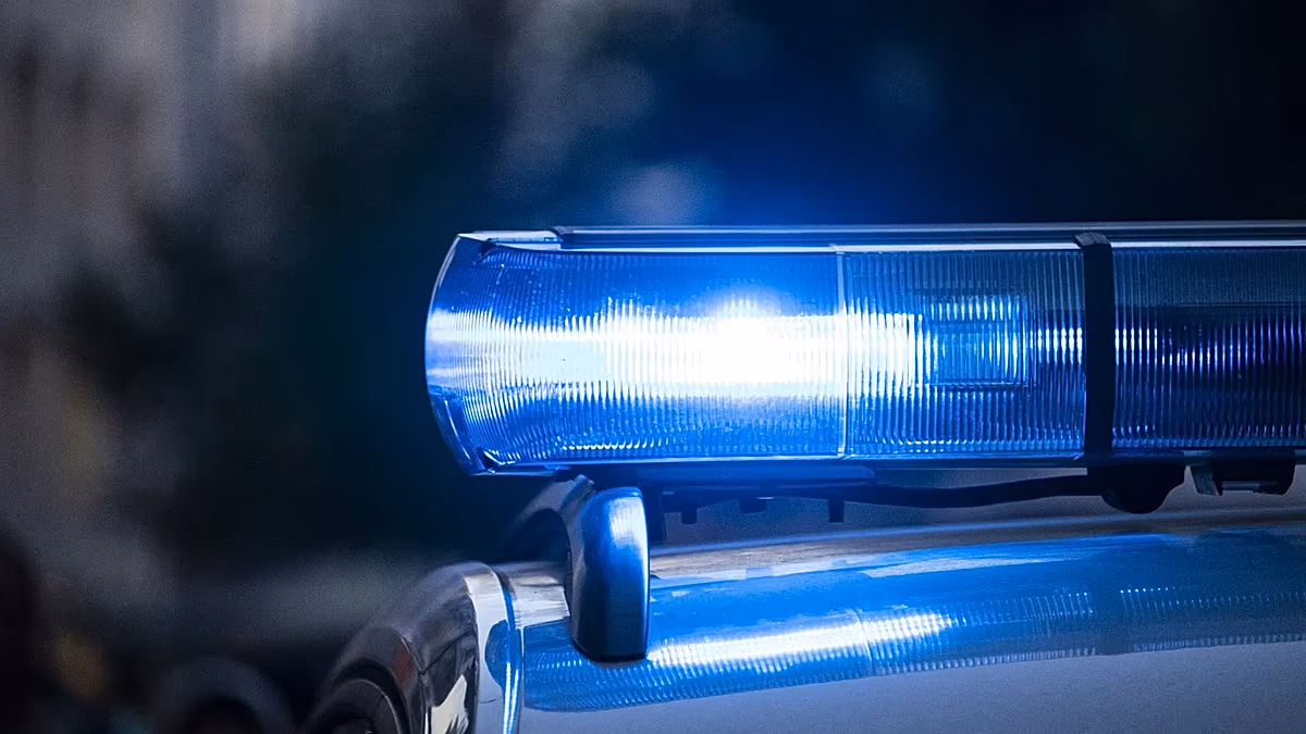 Waffen für Putins Agenten? Geheimer Waffenversteck im Berliner Wald gefunden