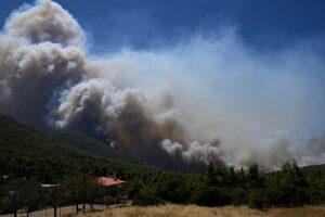 Waldbrände in Europa: In Frankreich und Griechenland breiten sich die Brände weiter aus