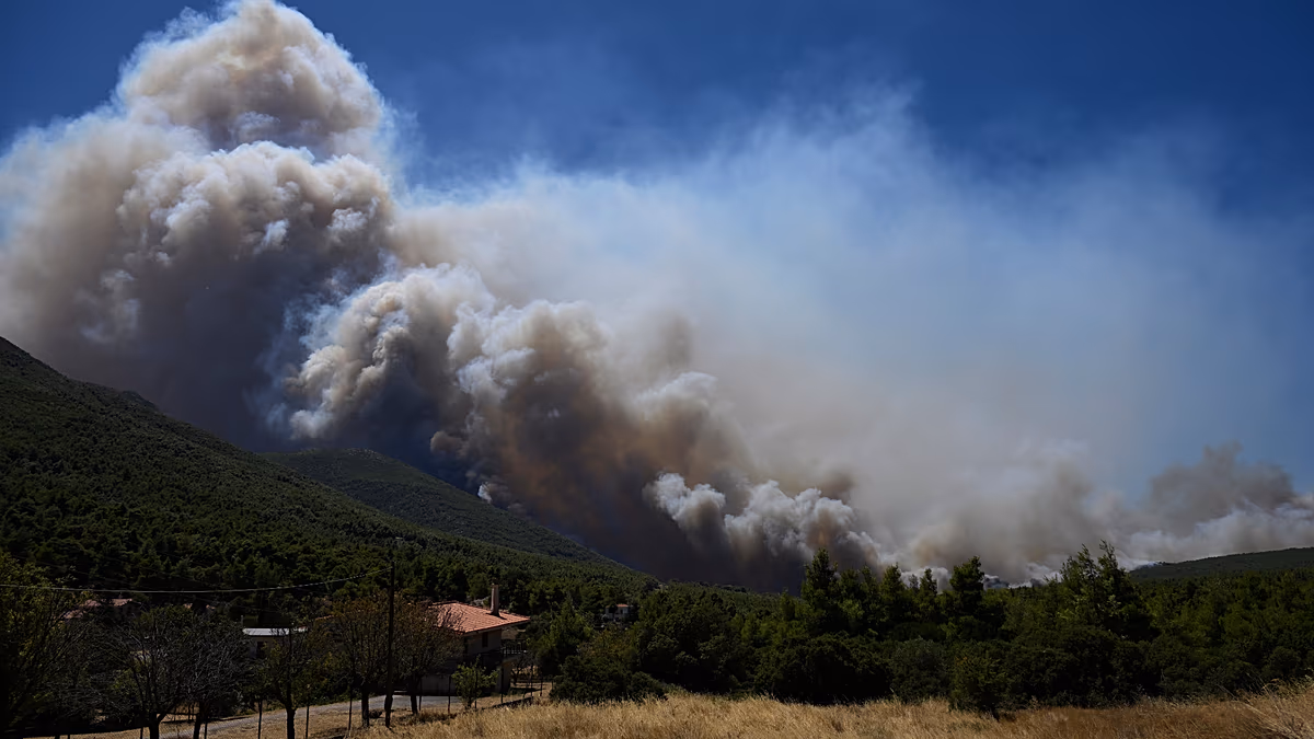 Waldbrände in Europa: In Frankreich und Griechenland breiten sich die Brände weiter aus
